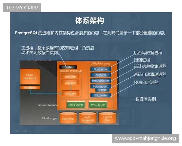 PG数据库官网下载完整流程，帮助新手用户轻松安装配置数据库环境